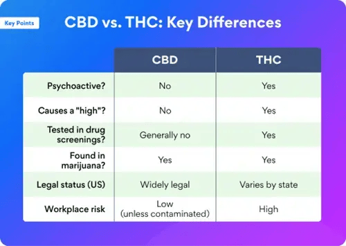 Can CBD Oil Show Up On a Drug Test? | Cisive